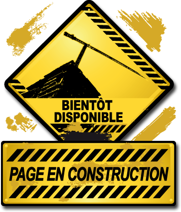 Logo-Page-en-construction.png